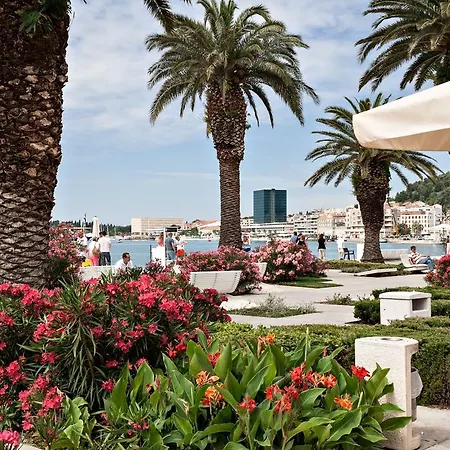 Babina - King & Queen 斯普利特