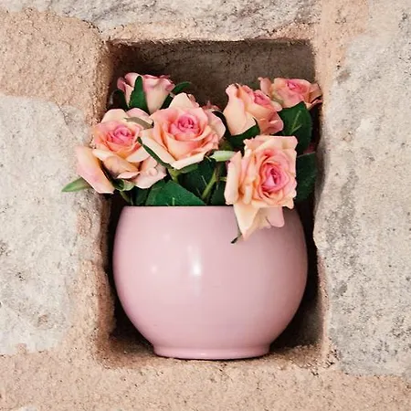 Babina - King & Queen 3* 斯普利特